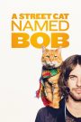 A Street Cat Named Bob