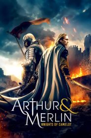 Arthur & Merlin: Knights of Camelot